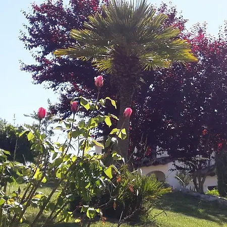 Borgo Nicoletta Casa Vacanze Filandari